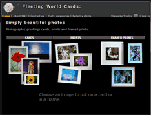 Tablet Screenshot of fleetingworldcards.com